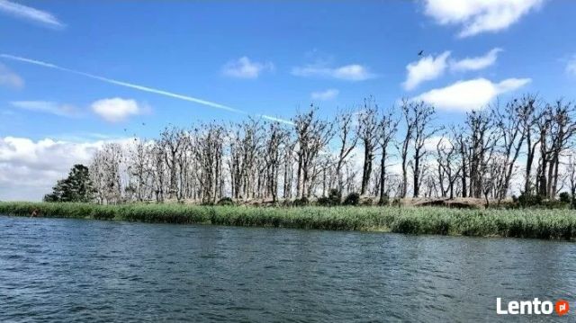 Działka budowlana Sierosław. Zdjęcie 7