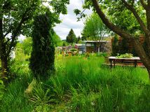 Działka rod Kamienna Góra, ul. Juliusza Słowackiego. Zdjęcie 2