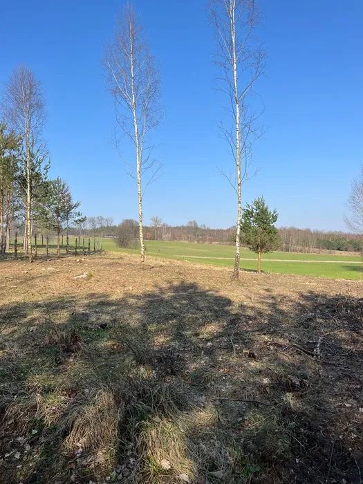 Działka budowlana Nowa Karczma Horniki Górne. Zdjęcie 2