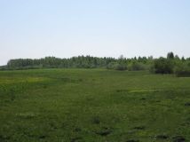 Działka rolna Tajenko. Zdjęcie 3