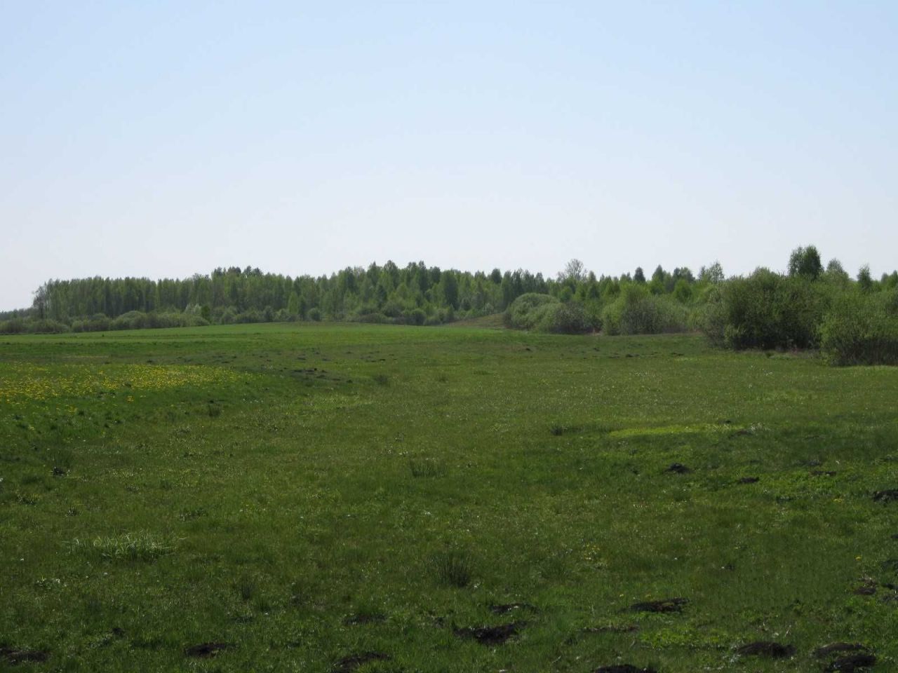 Działka rolna Tajenko. Zdjęcie 4