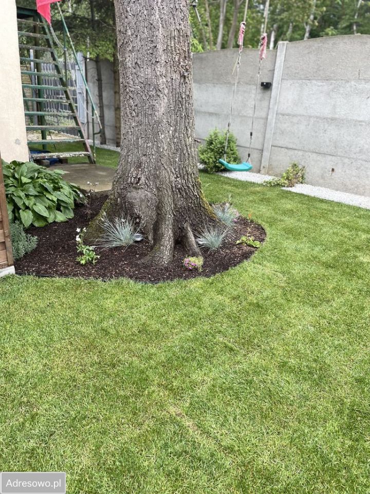 Działka rod Wrzosowo. Zdjęcie 7