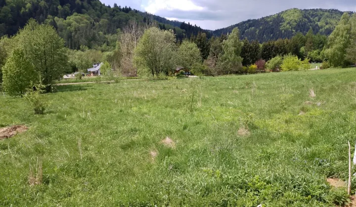 Działka budowlana Bystre