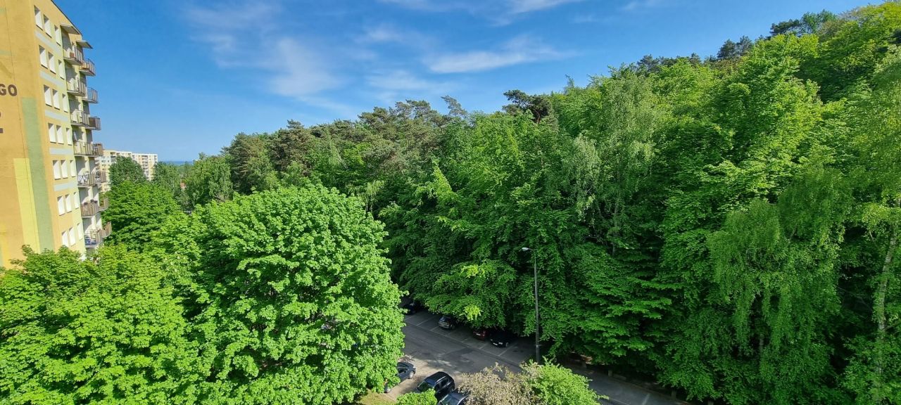 Mieszkanie 1-pokojowe Sopot Brodwino, ul. Władysława Cieszyńskiego. Zdjęcie 4