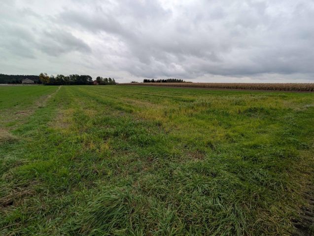 Działka rolna Nadzież. Zdjęcie 3