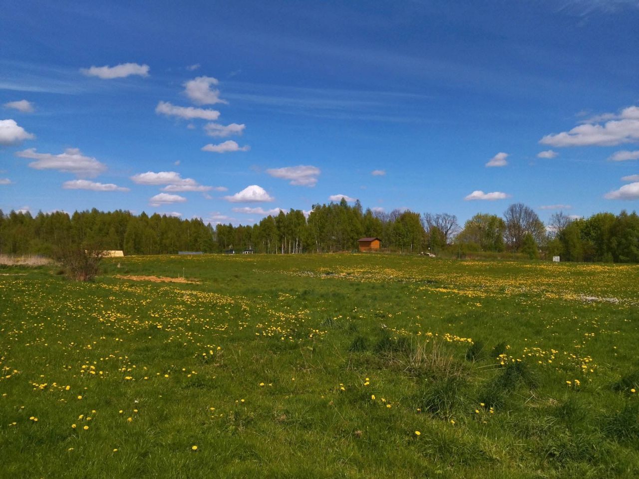 Działka rekreacyjna Raj. Zdjęcie 15