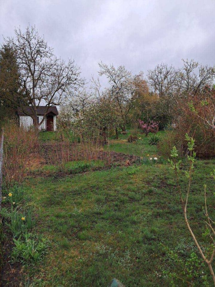 Działka rod Żagań. Zdjęcie 4