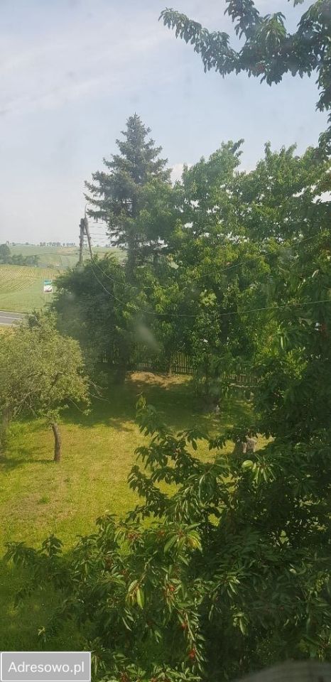 dom wolnostojący, 8 pokoi Rudnik, ul. Mickiewicza. Zdjęcie 11