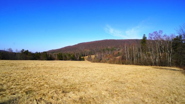 Działka rolna Regietów. Zdjęcie 1