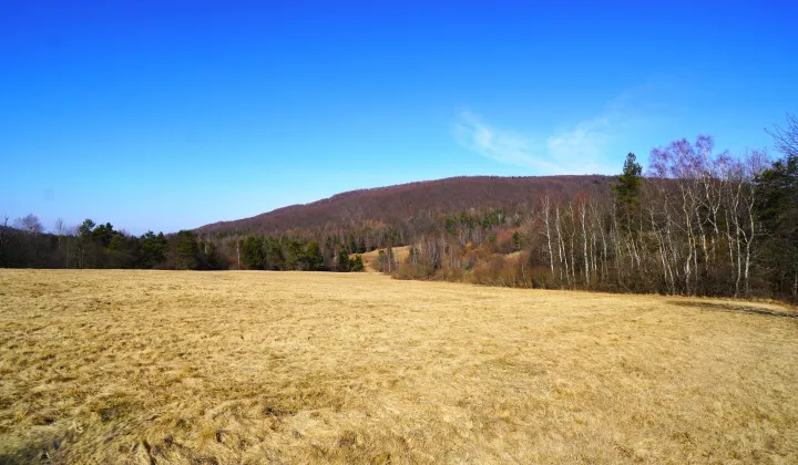 Działka rolna Regietów
