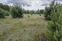 Działka rolno-budowlana Łukawa, Łukawa. Zdjęcie 1