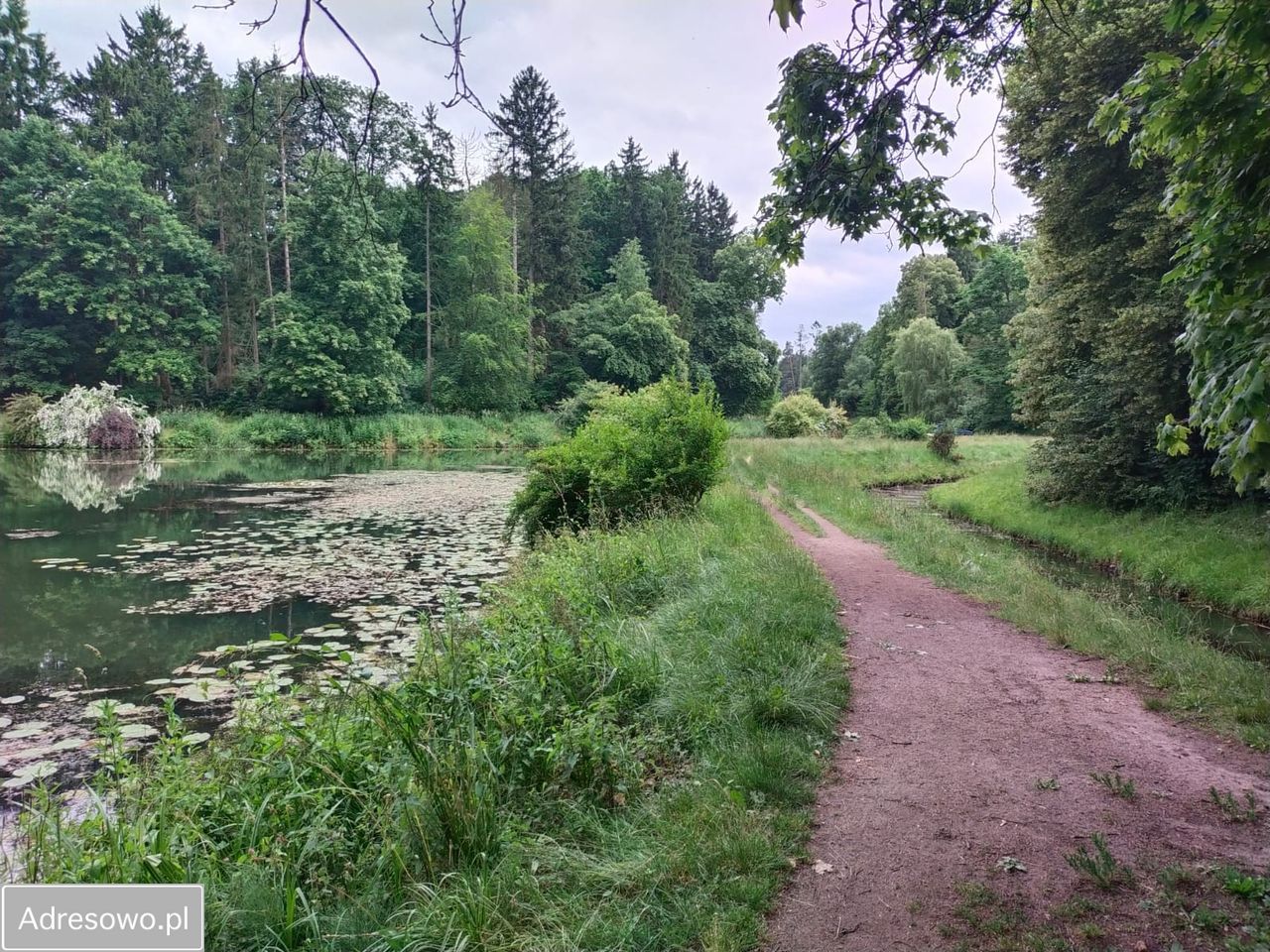 dom, 3 pokoje Połczyn-Zdrój, ul. Sobieskiego. Zdjęcie 14