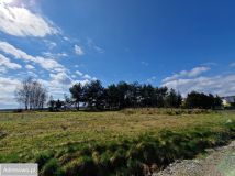 Działka budowlana Sośnicowice, ul. Raciborska. Zdjęcie 1