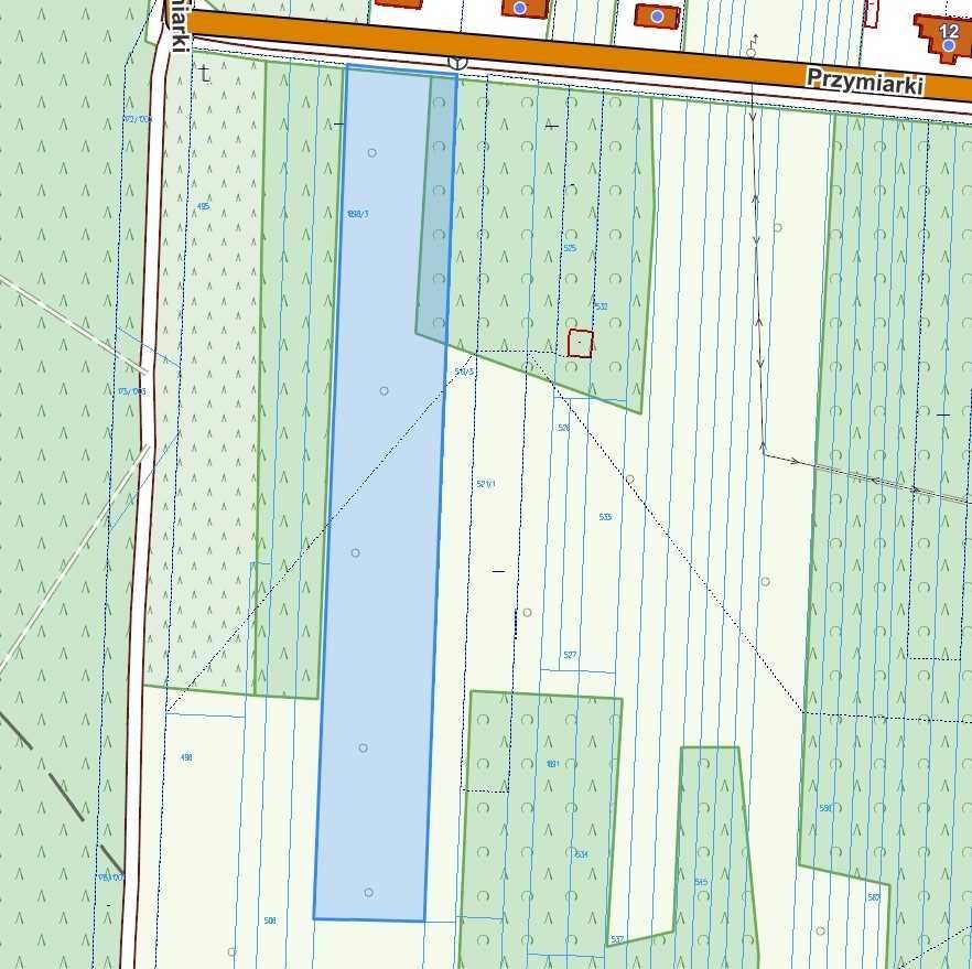 Działka rolna Wąsosz Przymiarki. Zdjęcie 2