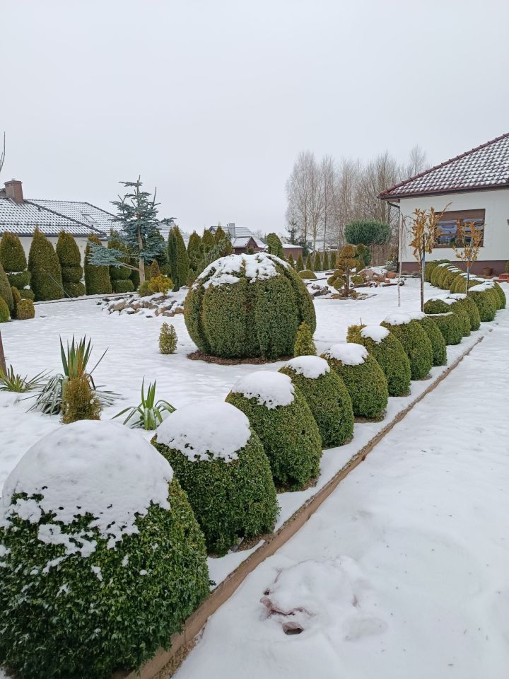 dom wolnostojący, 4 pokoje Szczecinek Raciborki, ul. Boczna. Zdjęcie 2