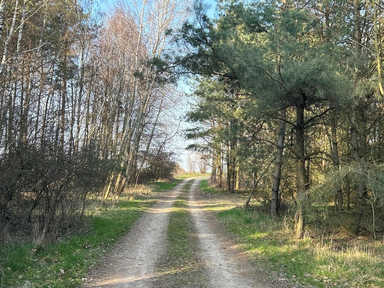 Działka budowlana Złotniczki, ul. Błękitna. Zdjęcie 6