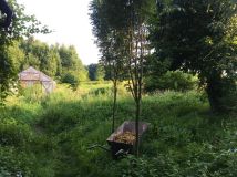 siedlisko Witoszyn. Zdjęcie 4