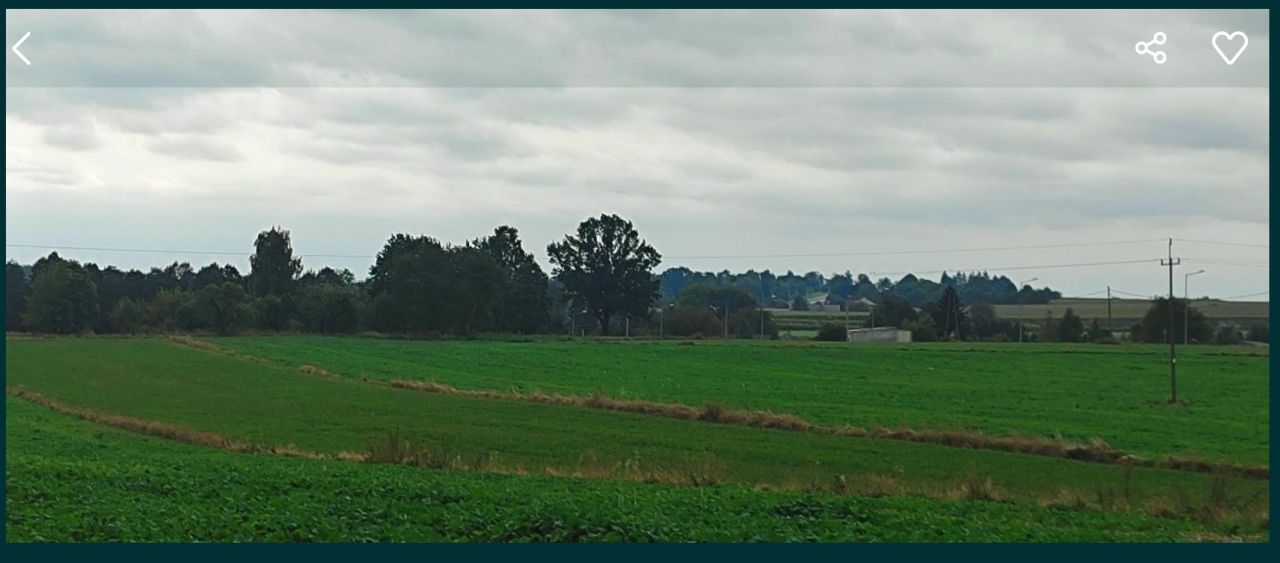 Działka rolno-budowlana Zielona. Zdjęcie 4