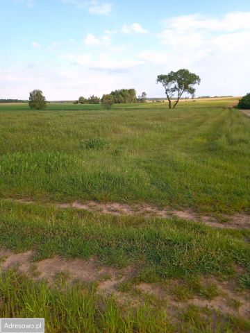 Działka rolna Ryszkowa Wola Pocholaje. Zdjęcie 1