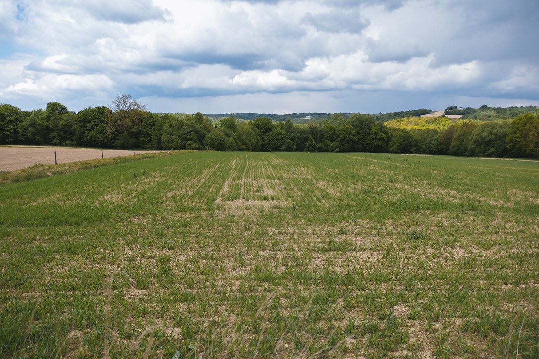 Działka budowlana Dynów, ul. Węgierska. Zdjęcie 3