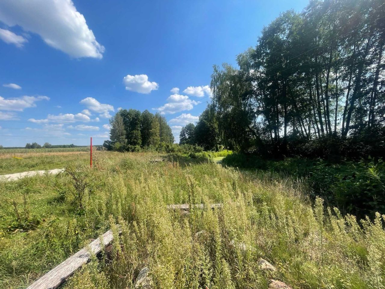 Działka budowlana Chrzczanka-Folwark. Zdjęcie 3