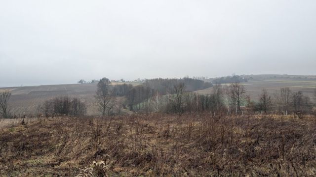 Działka rolna Kopytowa. Zdjęcie 1