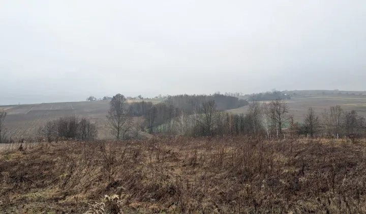 Działka rolna Kopytowa