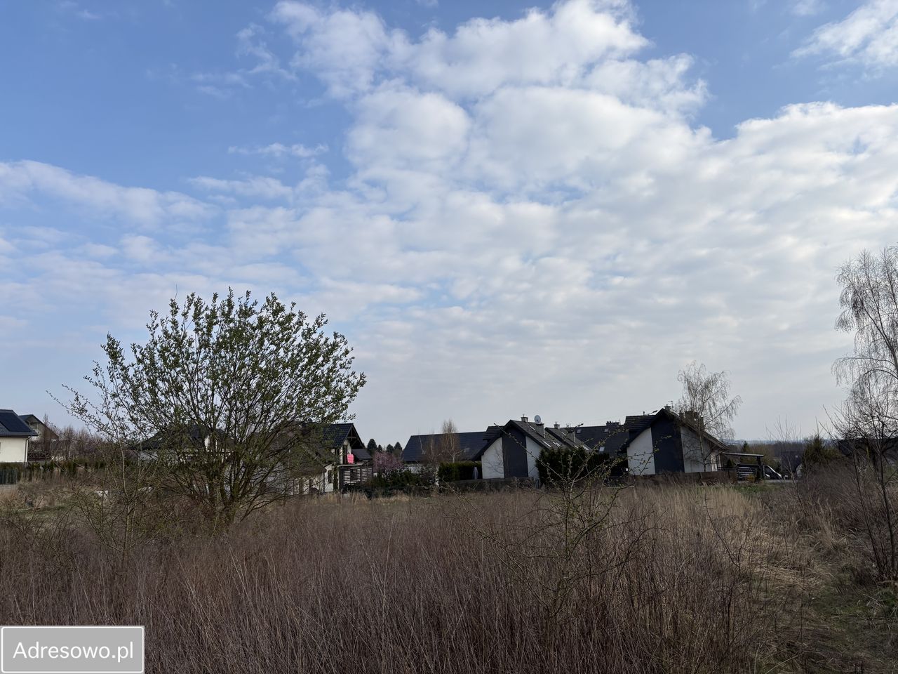 Działka rolno-budowlana Tomaszowice. Zdjęcie 2