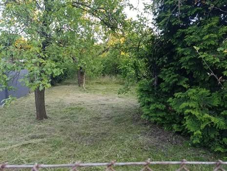 Działka rod Poznań Dębiec, ul. Jałowcowa. Zdjęcie 2