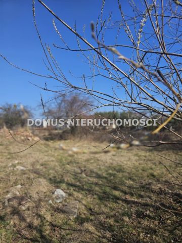 Działka inwestycyjna Brzeziny, ul. Henryka Sienkiewicza. Zdjęcie 7