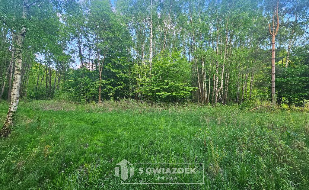 Działka budowlana Ostropole. Zdjęcie 14