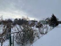 Działka rod Gdynia Oksywie. Zdjęcie 2