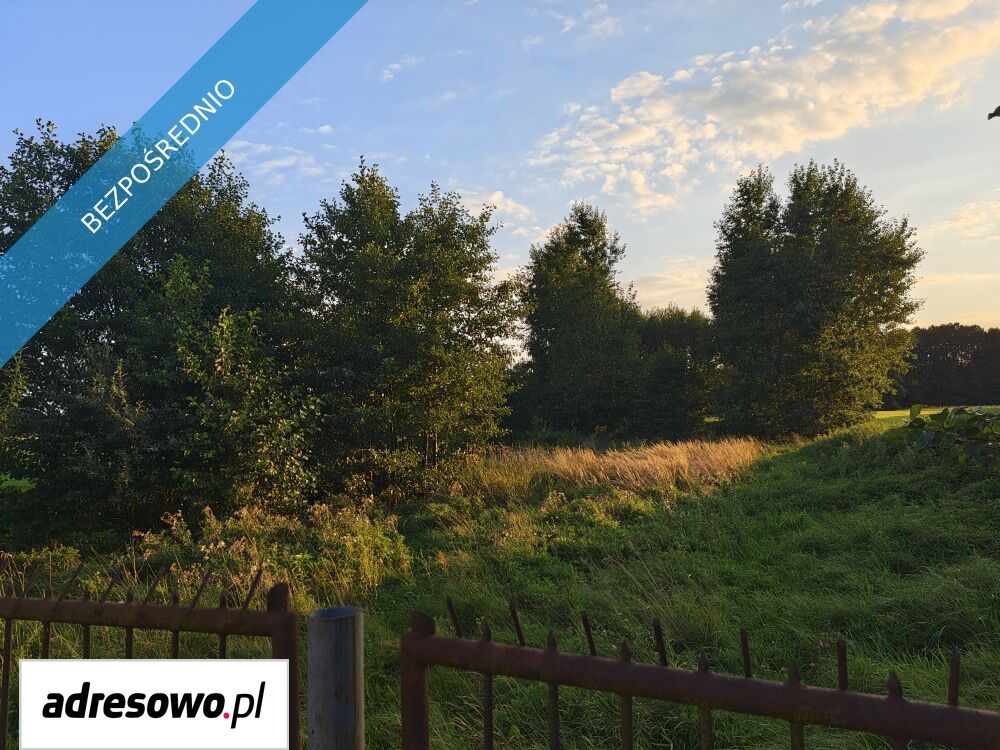 siedlisko, 4 pokoje Bedoń-Wieś. Zdjęcie 14