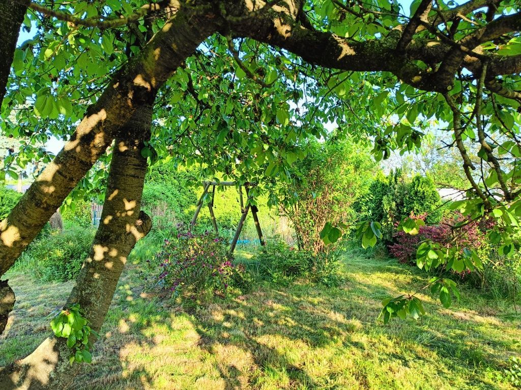 Działka rod Widziszewo, ul. Podgórna. Zdjęcie 4