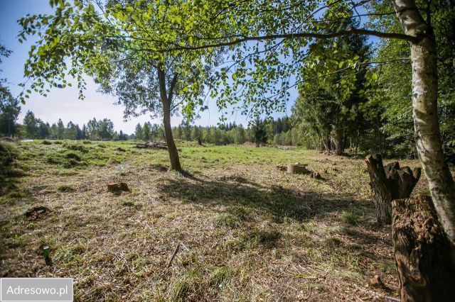 Działka budowlana Złotno. Zdjęcie 1