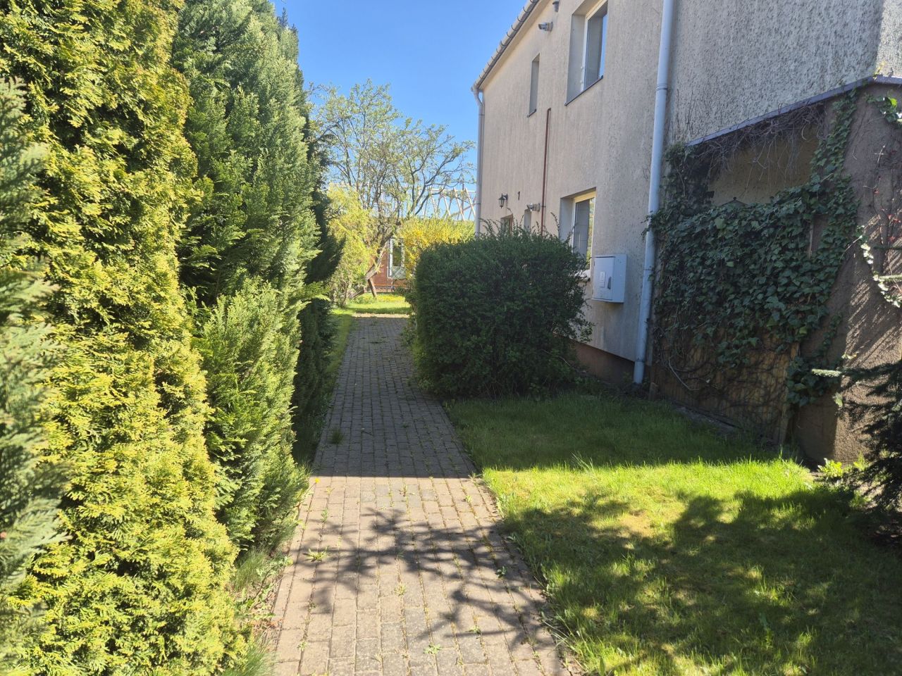 dom szeregowy, 3 pokoje Strzelno, ul. Szkolna. Zdjęcie 5