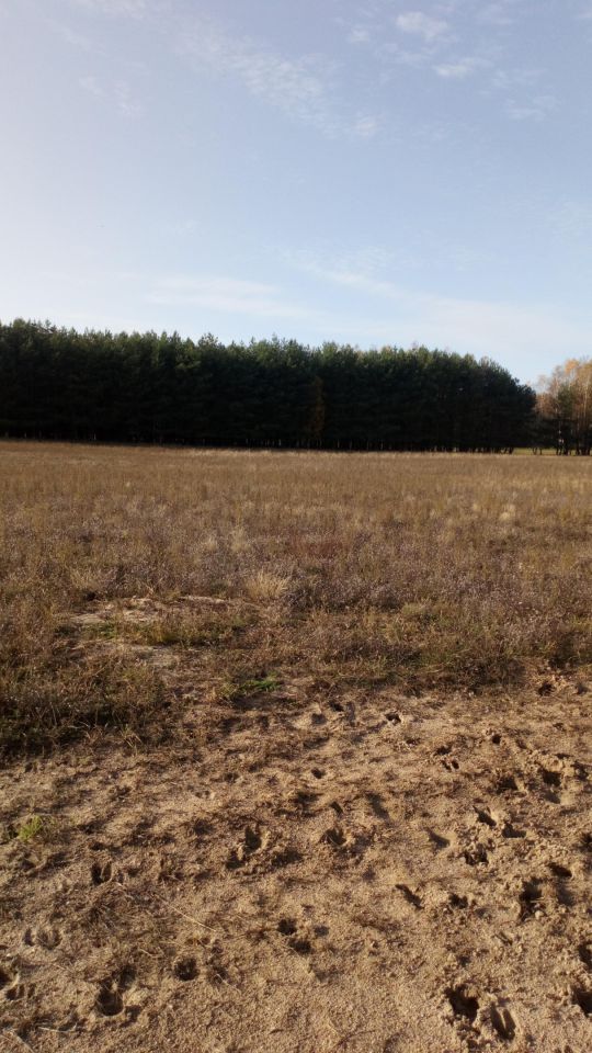 Działka budowlana Dolno. Zdjęcie 9