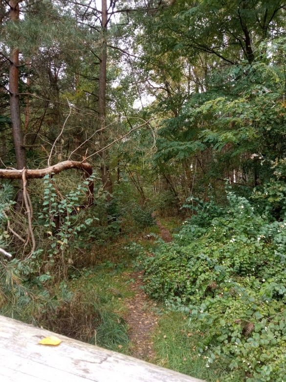 Działka budowlana Zielona Góra, ul. Mrągowska. Zdjęcie 6