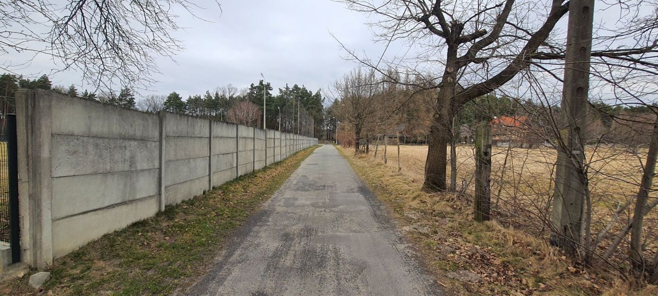 Działka leśna Ruda Kozielska. Zdjęcie 6