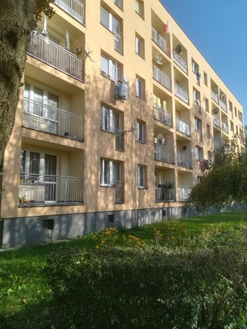 Mieszkanie 2-pokojowe Olkusz Pakuska, al. 1000-lecia. Zdjęcie 1