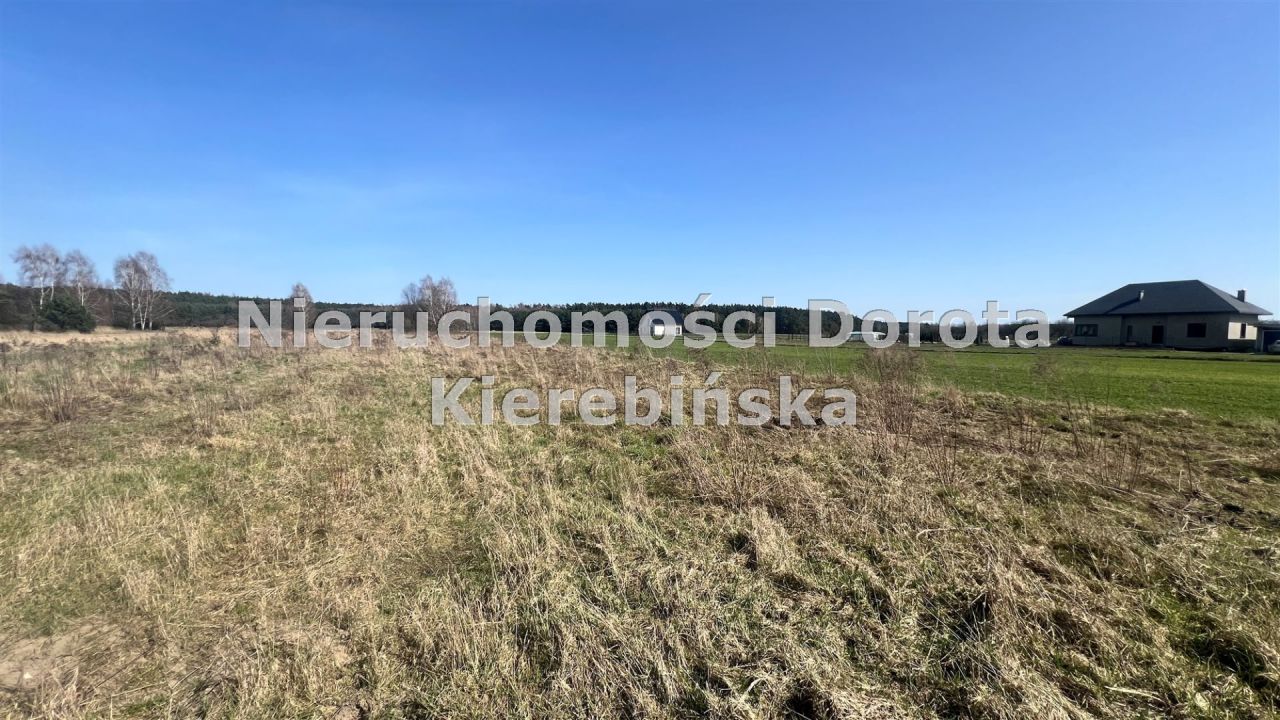 Działka inwestycyjna Królowa Wola. Zdjęcie 5