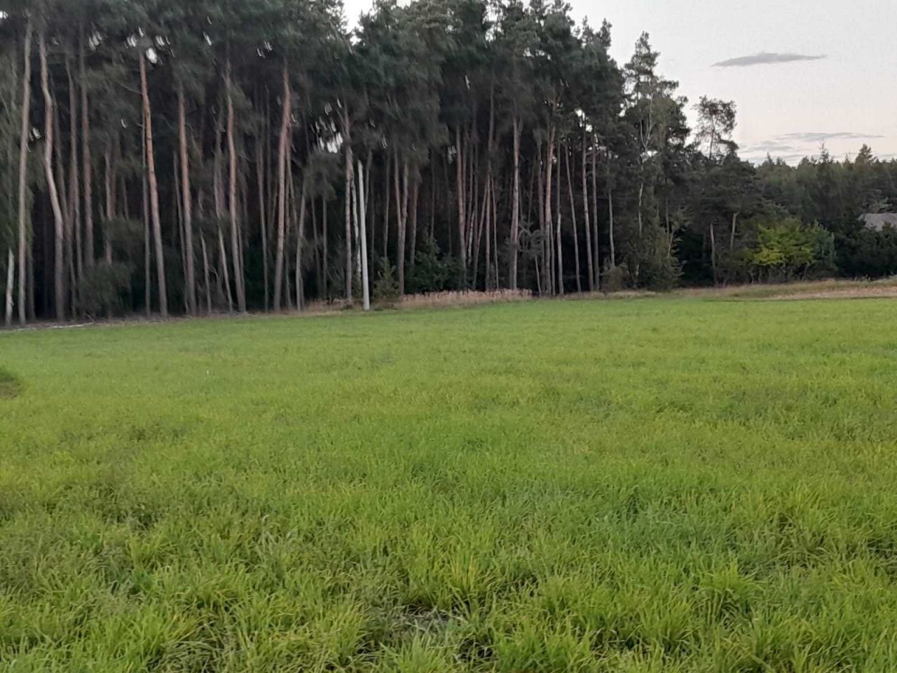 Działka budowlana Folwark. Zdjęcie 2