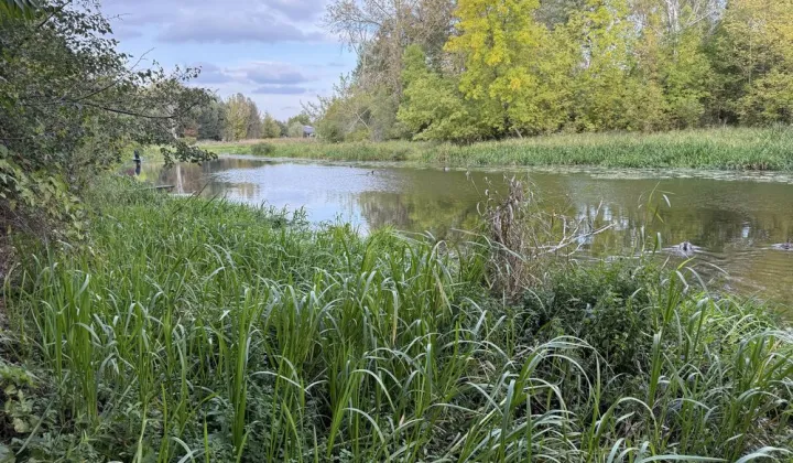 Działka budowlana Pułtusk, ul. Baltazara