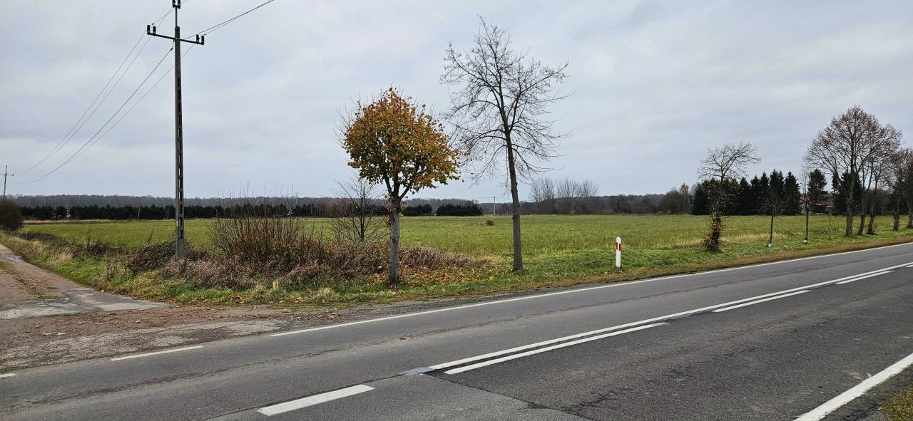 Działka budowlana Gronowo. Zdjęcie 4