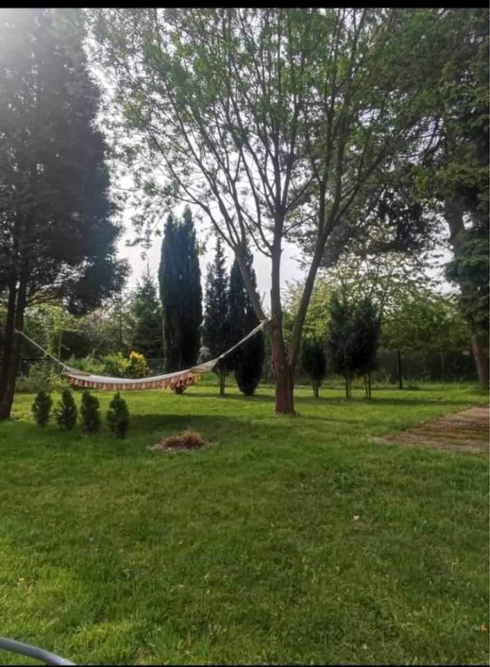 Działka rod Gliwice Sikornik. Zdjęcie 6