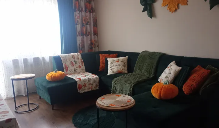 dom wolnostojący, 7 pokoi Rogowice