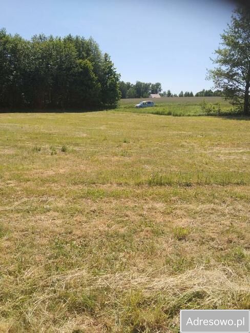 Działka rolno-budowlana Brudzeń Mały. Zdjęcie 3