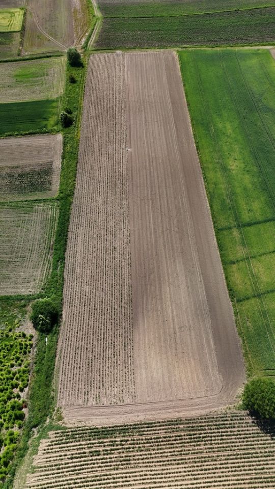 Działka rolna Kocmyrzów. Zdjęcie 7