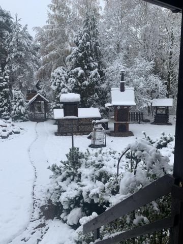 Działka rekreacyjna Borzychy, ul. Modrzewiowa. Zdjęcie 11
