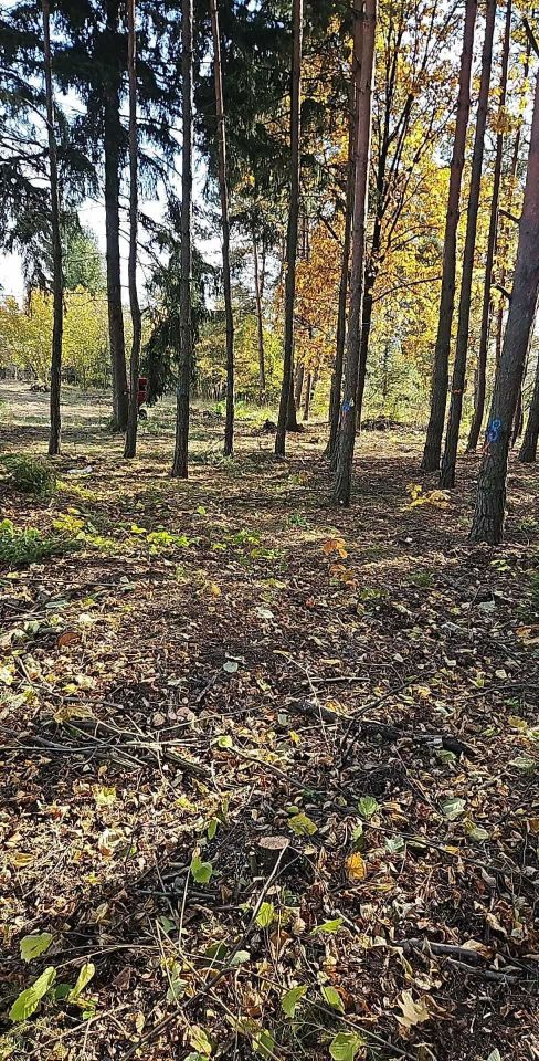 Działka budowlana Olkusz Pomorzany, ul. Zacisze. Zdjęcie 5